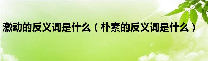 激动的反义词是什么（朴素的反义词是什么）