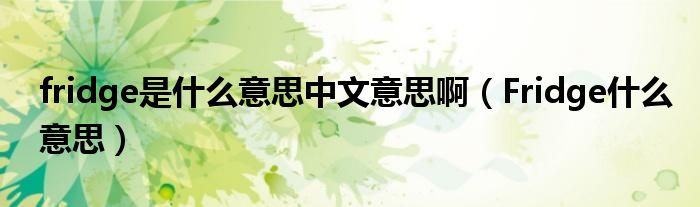 fridge是什么意思中文意思啊（Fridge什么意思）