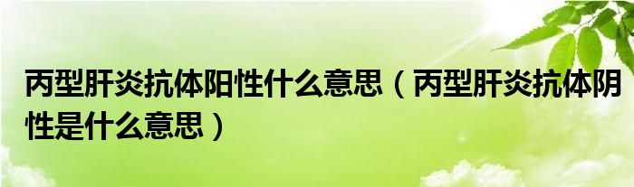 丙型肝炎抗体阳性什么意思（丙型肝炎抗体阴性是什么意思）