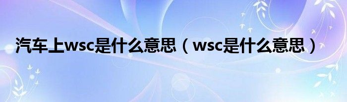 汽车上wsc是什么意思（wsc是什么意思）