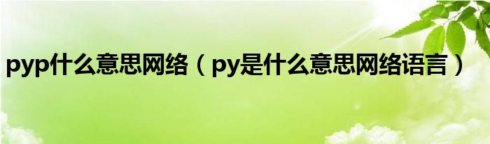 pyp什么意思网络（py是什么意思网络语言）