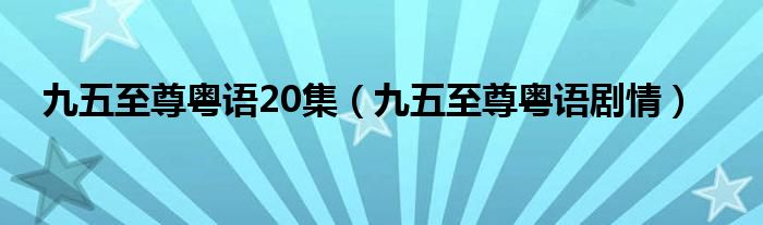 九五至尊粤语20集（九五至尊粤语剧情）