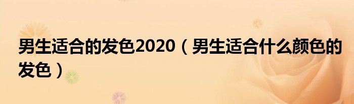 男生适合的发色2020（男生适合什么颜色的发色）