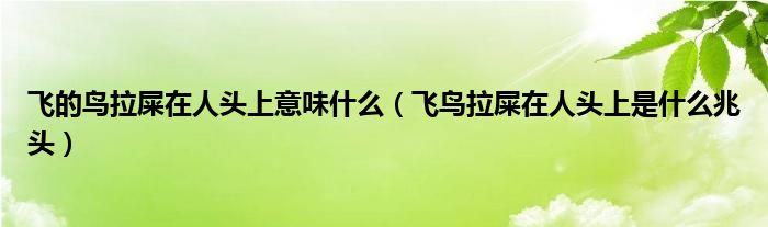 飞的鸟拉屎在人头上意味什么（飞鸟拉屎在人头上是什么兆头）