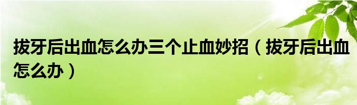 拔牙后出血怎么办三个止血妙招（拔牙后出血怎么办）