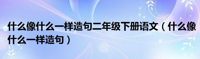 什么像什么一样造句二年级下册语文（什么像什么一样造句）