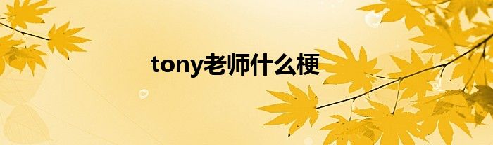 tony老师什么梗