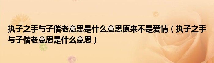 执子之手与子偕老意思是什么意思原来不是爱情（执子之手与子偕老意思是什么意思）