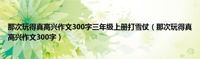 那次玩得真高兴作文300字三年级上册打雪仗（那次玩得真高兴作文300字）