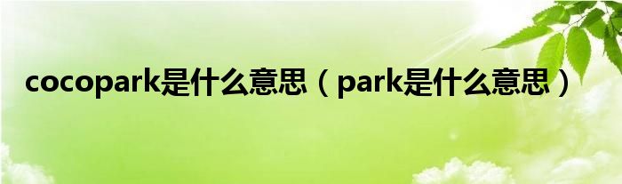 cocopark是什么意思（park是什么意思）