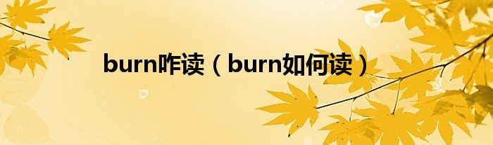 burn咋读（burn如何读）