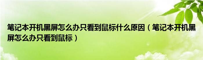 笔记本开机黑屏怎么办只看到鼠标什么原因（笔记本开机黑屏怎么办只看到鼠标）