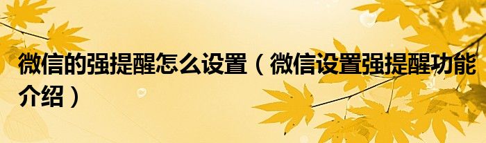 微信的强提醒怎么设置（微信设置强提醒功能介绍）