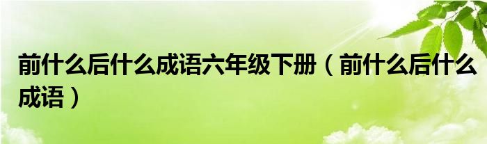 前什么后什么成语六年级下册（前什么后什么成语）