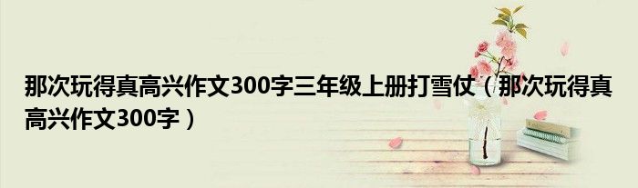 那次玩得真高兴作文300字三年级上册打雪仗（那次玩得真高兴作文300字）