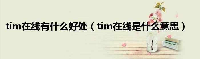 tim在线有什么好处（tim在线是什么意思）