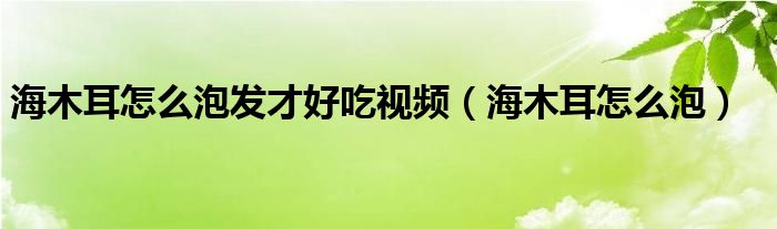 海木耳怎么泡发才好吃视频（海木耳怎么泡）