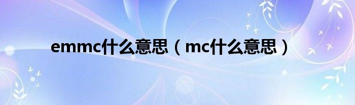 emmc什么意思（mc什么意思）