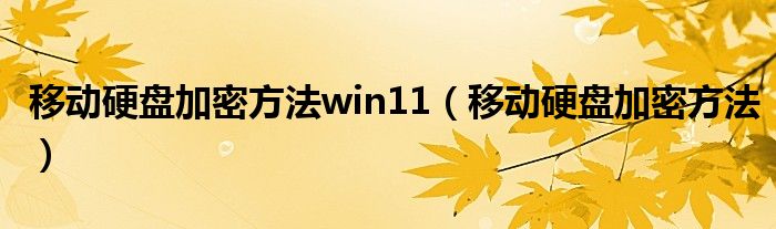 移动硬盘加密方法win11（移动硬盘加密方法）