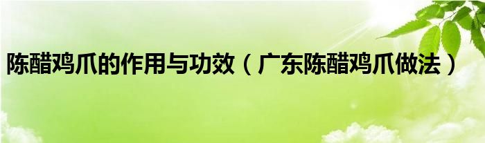 陈醋鸡爪的作用与功效（广东陈醋鸡爪做法）