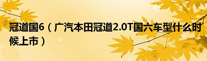 冠道国6（广汽本田冠道2.0T国六车型什么时候上市）