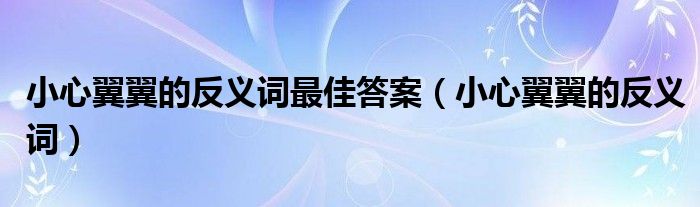 小心翼翼的反义词最佳答案（小心翼翼的反义词）