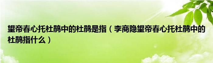 望帝春心托杜鹃中的杜鹃是指（李商隐望帝春心托杜鹃中的杜鹃指什么）