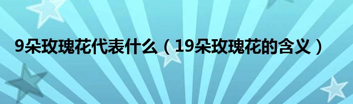 9朵玫瑰花代表什么（19朵玫瑰花的含义）