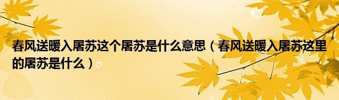 春风送暖入屠苏这个屠苏是什么意思（春风送暖入屠苏这里的屠苏是什么）