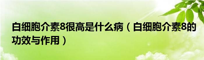 白细胞介素8很高是什么病（白细胞介素8的功效与作用）