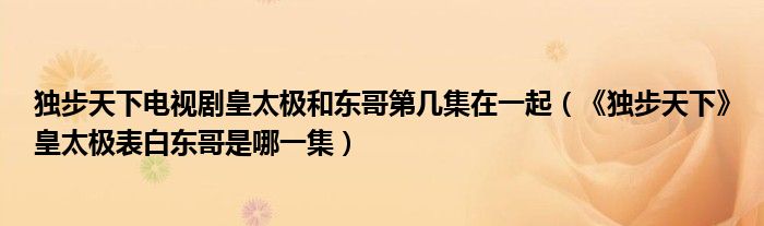 独步天下电视剧皇太极和东哥第几集在一起（《独步天下》皇太极表白东哥是哪一集）