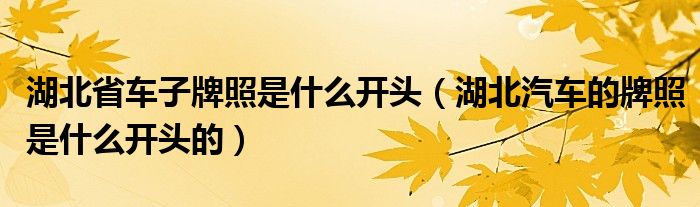 湖北省车子牌照是什么开头（湖北汽车的牌照是什么开头的）