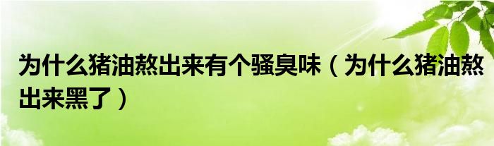 为什么猪油熬出来有个骚臭味（为什么猪油熬出来黑了）