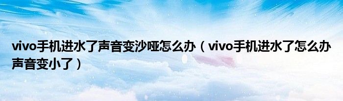 vivo手机进水了声音变沙哑怎么办（vivo手机进水了怎么办声音变小了）