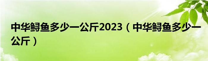 中华鲟鱼多少一公斤2023（中华鲟鱼多少一公斤）