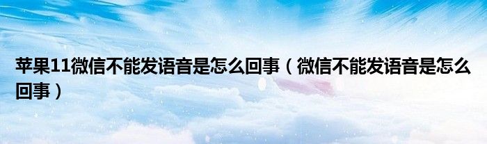 苹果11微信不能发语音是怎么回事（微信不能发语音是怎么回事）