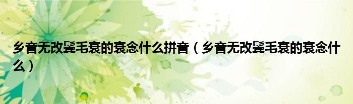 乡音无改鬓毛衰的衰念什么拼音（乡音无改鬓毛衰的衰念什么）