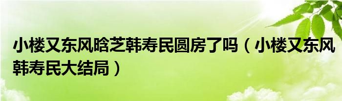 小楼又东风晗芝韩寿民圆房了吗（小楼又东风韩寿民大结局）