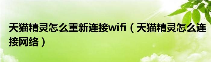 天猫精灵怎么重新连接wifi（天猫精灵怎么连接网络）