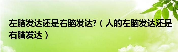 左脑发达还是右脑发达?（人的左脑发达还是右脑发达）