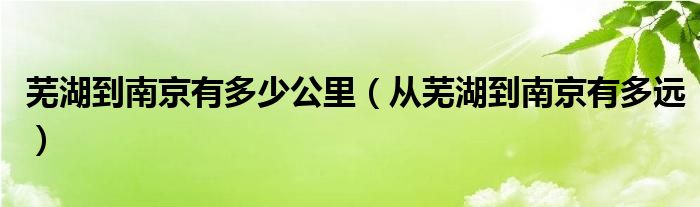 芜湖到南京有多少公里（从芜湖到南京有多远）