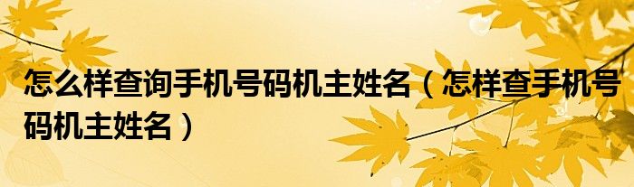 怎么样查询手机号码机主姓名（怎样查手机号码机主姓名）