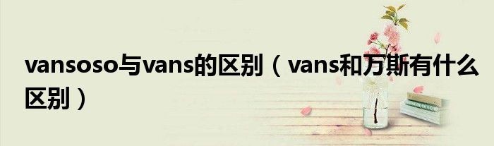 vansoso与vans的区别（vans和万斯有什么区别）