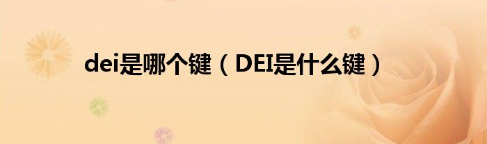 dei是哪个键（DEI是什么键）