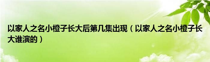 以家人之名小橙子长大后第几集出现（以家人之名小橙子长大谁演的）