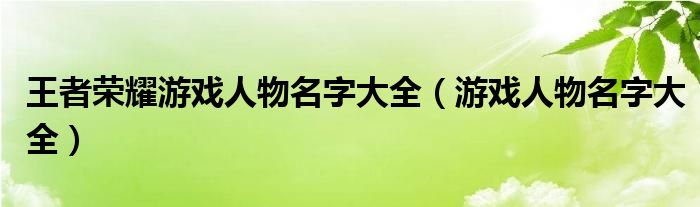 王者荣耀游戏人物名字大全（游戏人物名字大全）