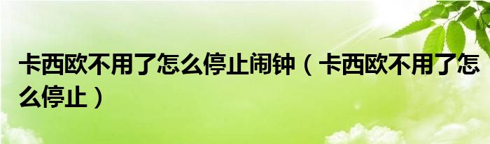 卡西欧不用了怎么停止闹钟（卡西欧不用了怎么停止）