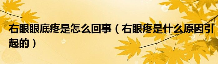 右眼眼底疼是怎么回事（右眼疼是什么原因引起的）