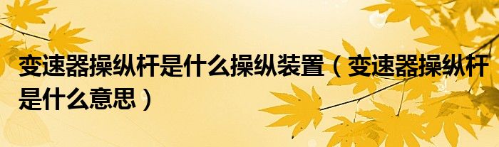 变速器操纵杆是什么操纵装置（变速器操纵杆是什么意思）