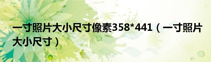 一寸照片大小尺寸像素358*441（一寸照片大小尺寸）